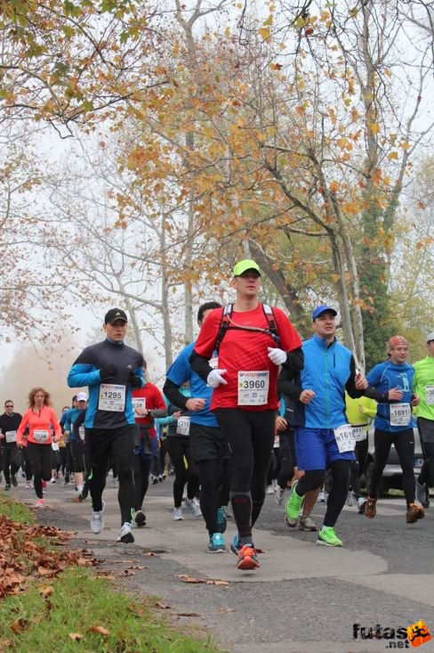 felmaraton-4182.jpg Balaton Marathon futás