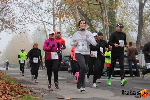 felmaraton-4184.jpg Balaton Marathon futás