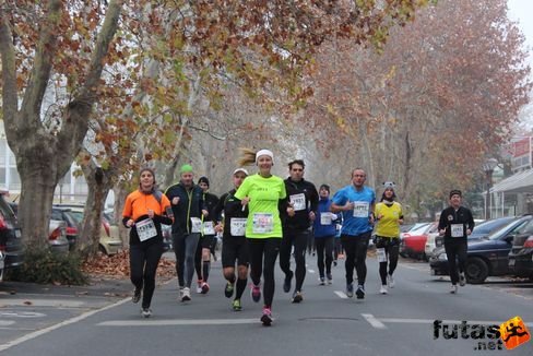 felmaraton-4194.jpg Balaton Marathon futás