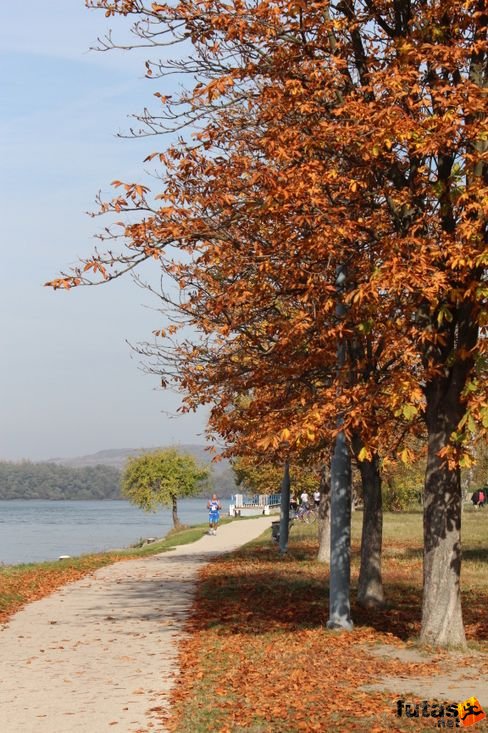 esztergomi_futoparti_3584.jpg Esztergom futás