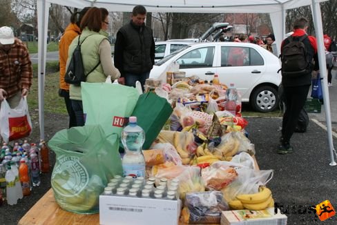 A futók hozták Tóparti Futóparti 2013 futás