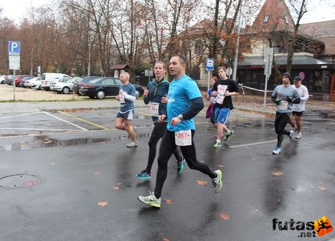 balaton_felmaraton_9760.jpg Balaton Maraton futás