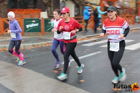 balaton_felmaraton_9813.jpg Balaton Maraton futás