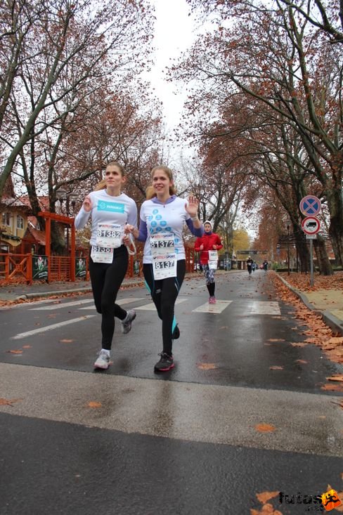balaton_felmaraton_9965.jpg Balaton Maraton futás