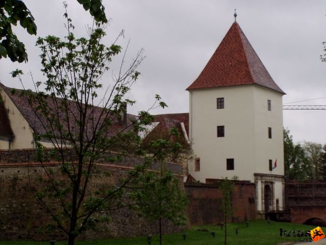 Sárvár futás ultrafutás