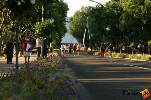 img_3377.jpg