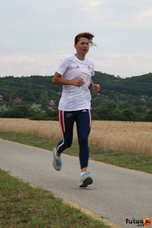 Ultrabalaton ultrabalaton_3170.jpg ultrabalaton_3170.jpg Ultrabalaton running Tihany - Aszófő,, ultrabalaton_3170.jpg, ultrabalaton_3170.jpg