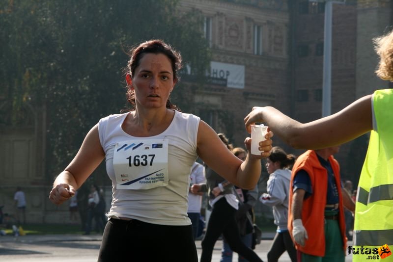 Nato futás nato_running_257.jpg Dr Baritsa Katalin Nato futás, Budapest Futóvesztivál, nato_running_257.jpg, Dr Baritsa Katalin