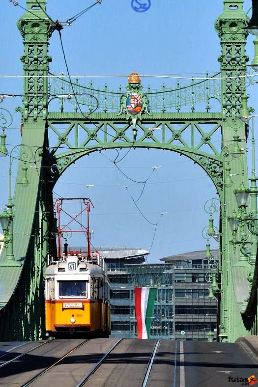 Szabadság híd és a budapesti villamos