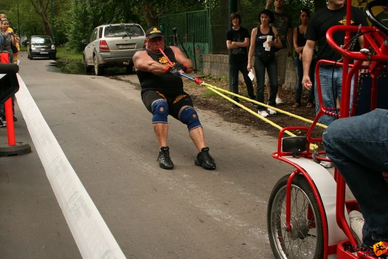Nick Árpád Guiness rekorder fogával húzza el a bringóhintókat,, Bringóhintók elhúzása, Nick Árpád
