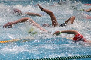 Margitszigeti Triatlon úszás