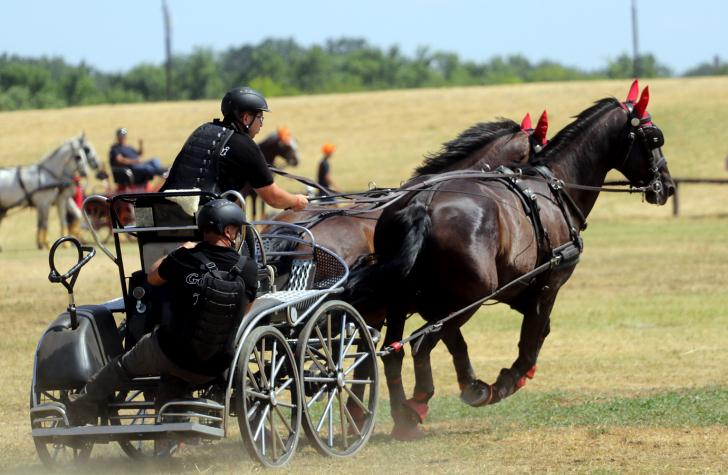 Hortobágy