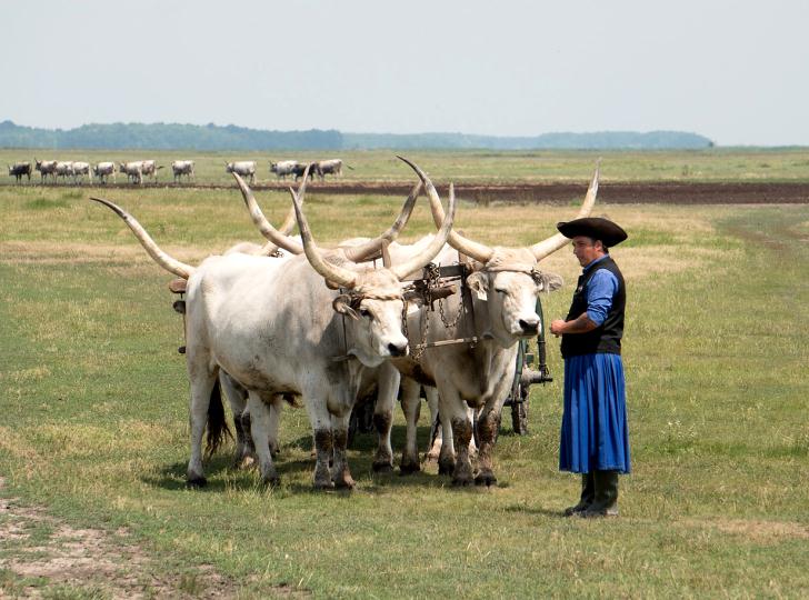 Hortobágy