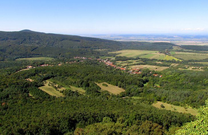 Mogyoróska