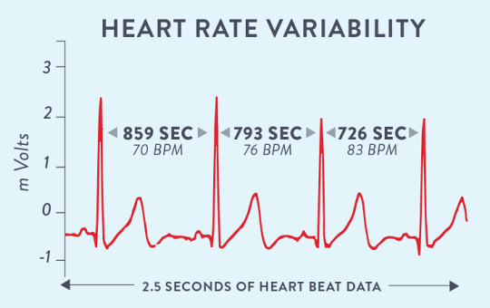 (HRV = Heart Rate Variability = szívritmus-változtatási képesség