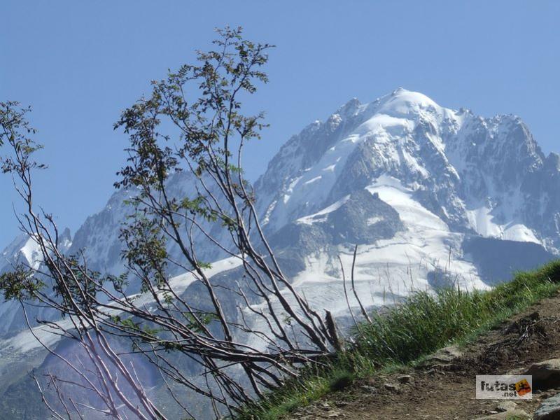 Ultra Trail du Mont-Blanc ultra_trail_du_mont_blanc_20197.jpg ultra_trail_du_mont_blanc_20197.jpg