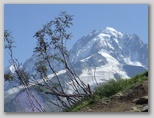 Ultra Trail du Mont-Blanc ultra_trail_du_mont_blanc_20197.jpg