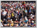 Ultra Trail du Mont-Blanc ultra runners