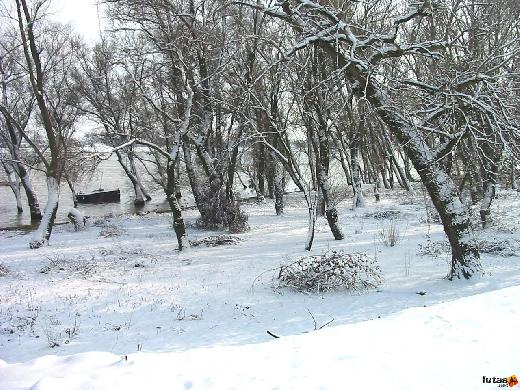 Surány télen Zarnóczay Klára futás IMG_1244.JPG