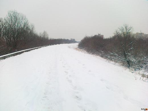  Makra Agnes futás 20140126016.jpg