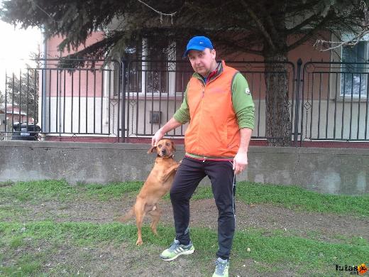  Szabó Attila futás 20160228_160517.jpg