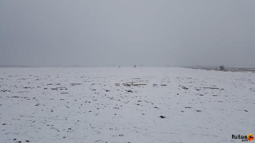 Taj Bence Sipos futás 20170129_103242.jpg