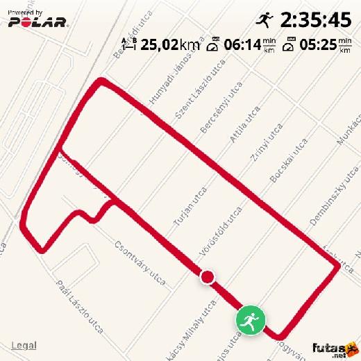 Polar map of running Boros Zsuzsanna futás IMG_8795.JPG