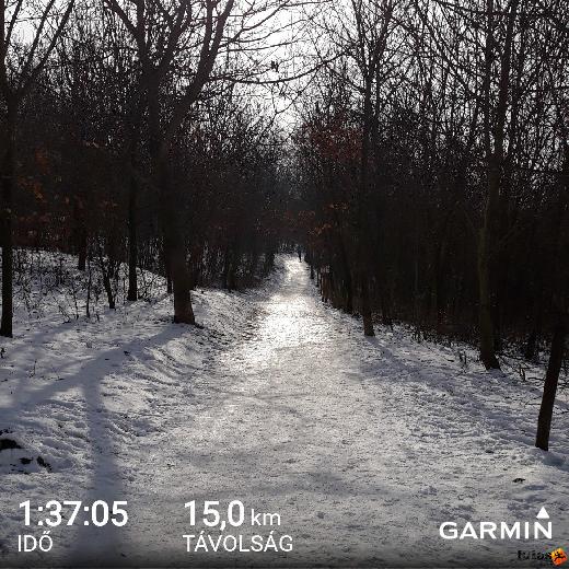  Borsitzky Balázs futás GarminConnect_20190127-130411.jpg