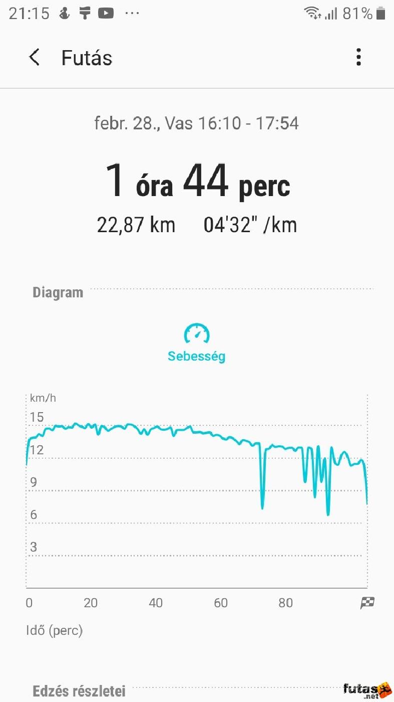  Szilágyiné Balogh Andres futó Screenshot_20210228-211554_Samsung Health.jpg
