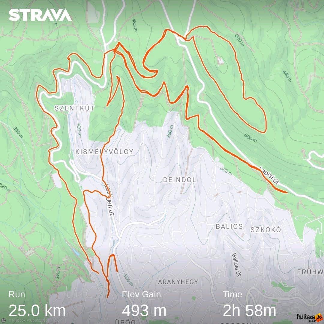  Dajkó-Ráncsik Nikoletta futó strava3778968301470249204.jpg