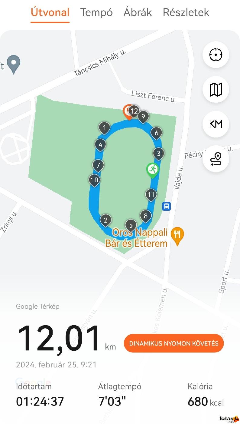  Romhányi  Lászlóné  futó inbound5271329569138904607.jpg