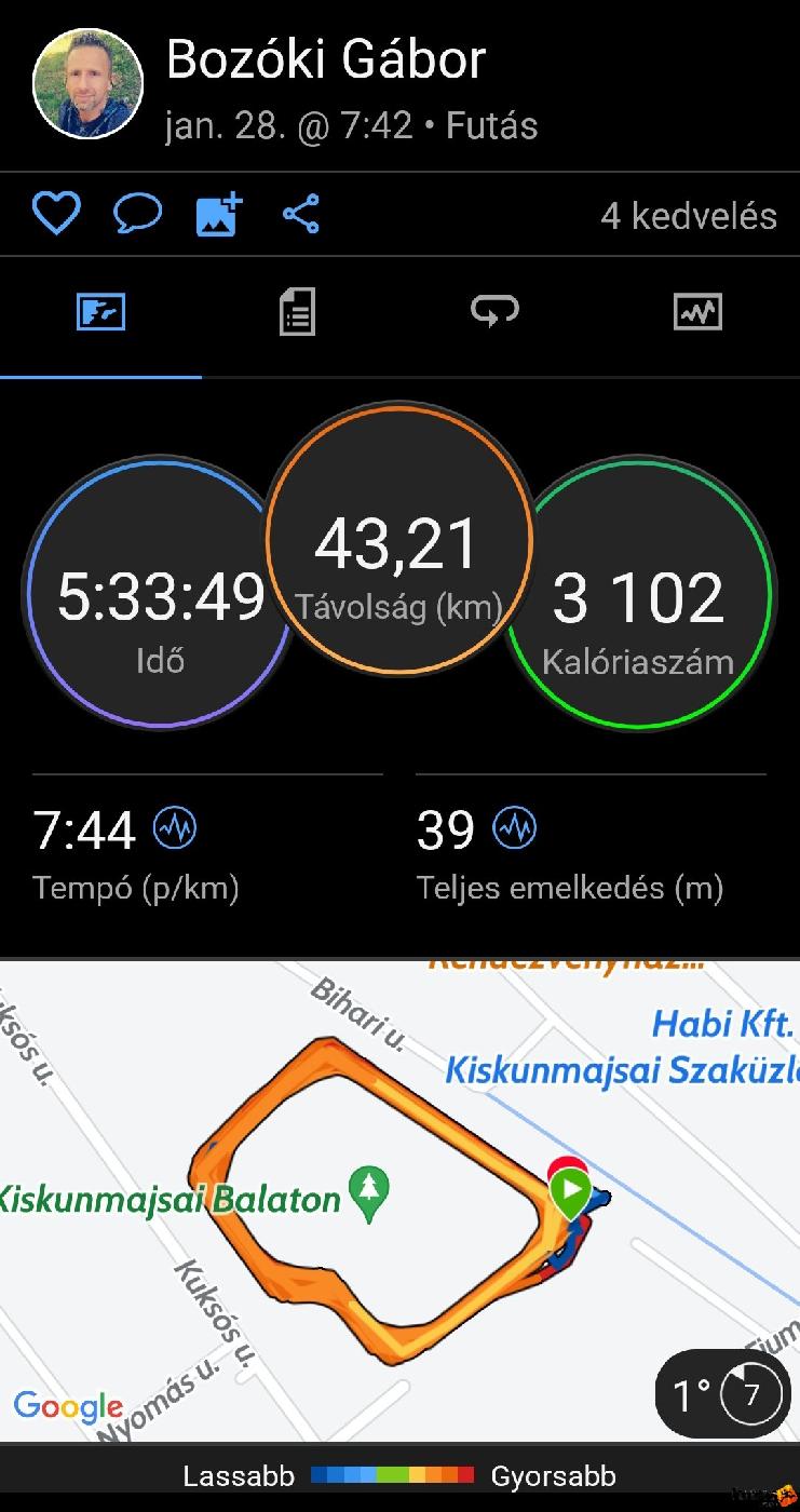  Bozóki  Gábor  futó inbound2397044331887805872.jpg