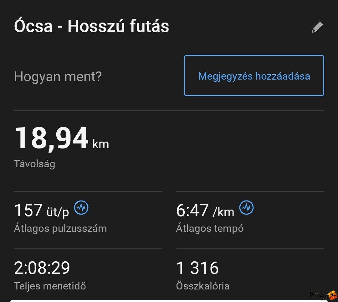  Kleczli  Kitti futó inbound2049973138315859857.jpg