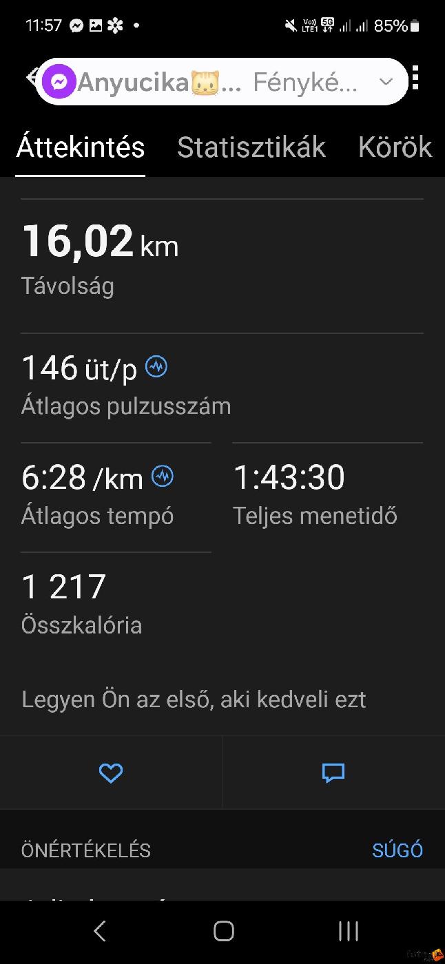  Csenki Imre futó Screenshot_20250223_115734_Connect.jpg