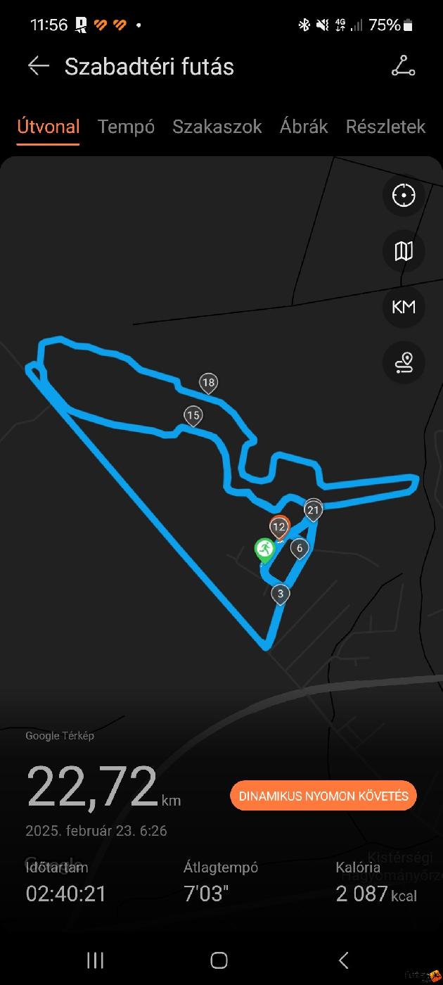  Neisz Krisztián futó Screenshot_20250223_115642_Huawei Health.jpg